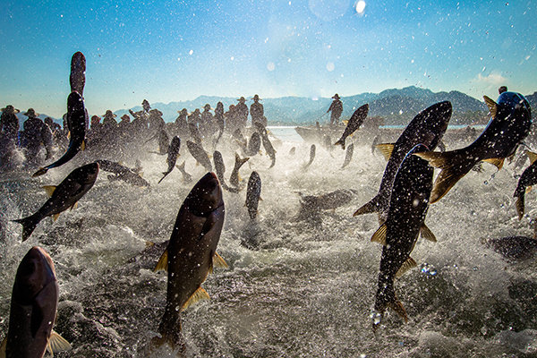 1637806183865628.jpg 1637657925390501.jpg